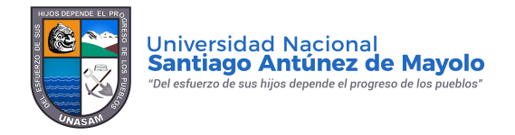 Logotipo de SISTEMA VIRTUAL DE APRENDIZAJE - UNASAM